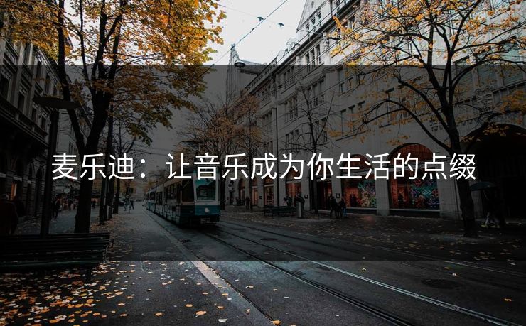 麦乐迪：让音乐成为你生活的点缀