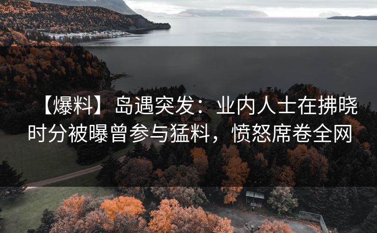 【爆料】岛遇突发：业内人士在拂晓时分被曝曾参与猛料，愤怒席卷全网